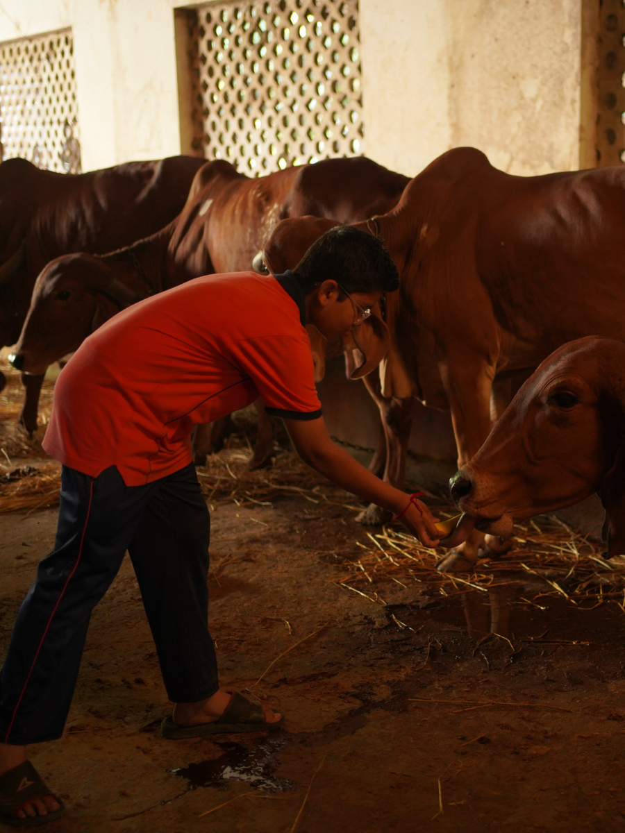 Untitled design (13)